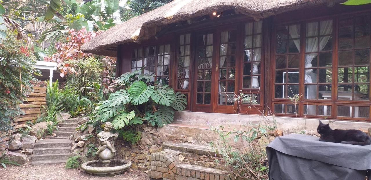 Thrush Nest Durban Bed & Breakfast Pinetown Exterior photo